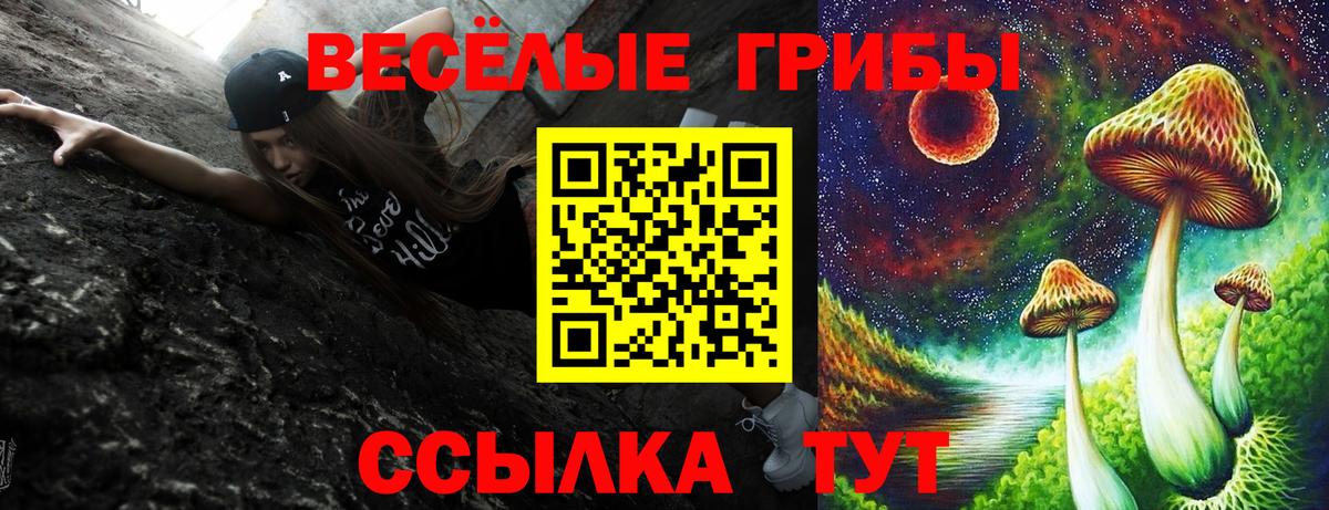 Галлюциногенные грибы мицелий  Галлюциногенные грибы Magic Shrooms  Вход с VPN  цены наркотик  Кольчугино 