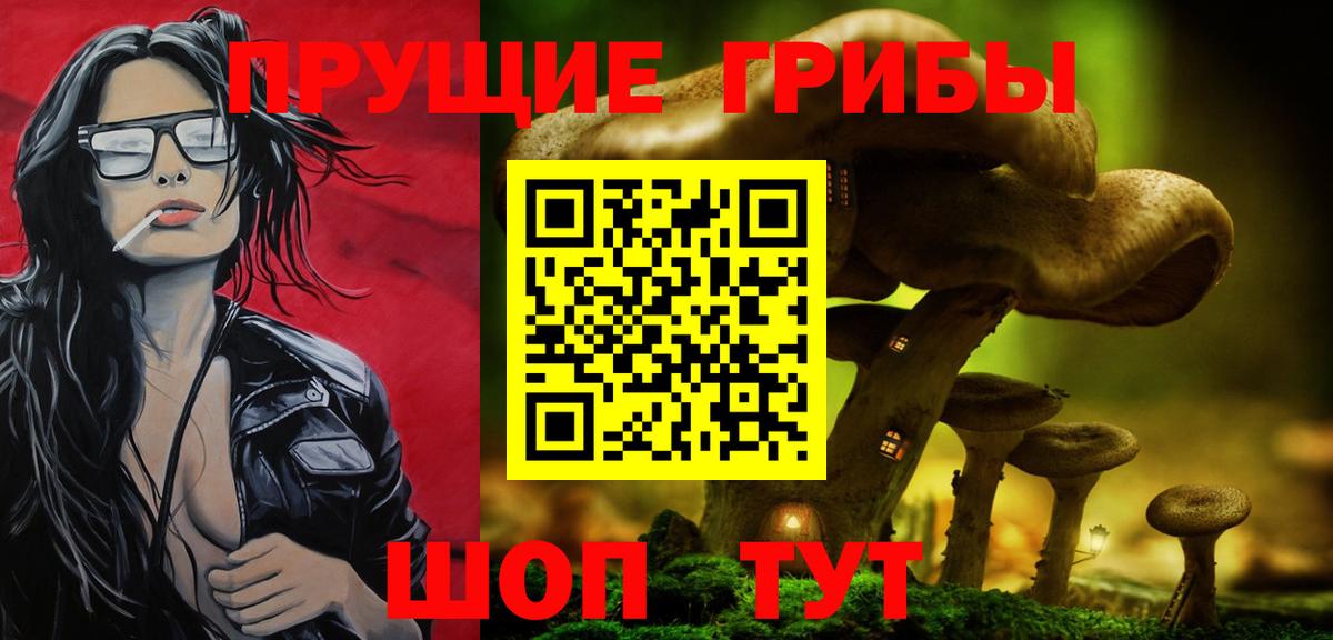 Галлюциногенные грибы Psilocybine cubensis Кольчугино